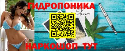 ALPHA PVP Малгобек