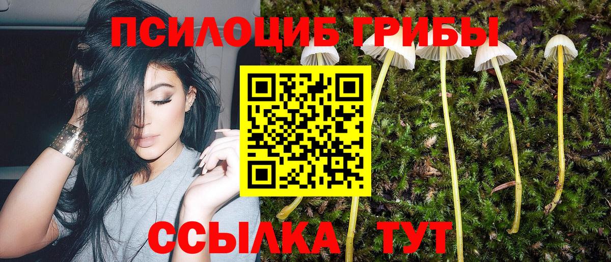 Строитель  Псилоцибиновые грибы Cubensis  Вход с VPN 